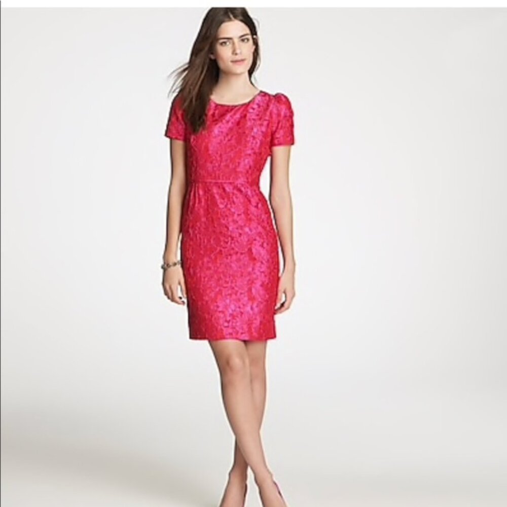 J. Crew Collection Marla Dress - Size 2